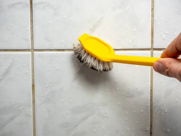 Best Office Mold Removal Services  in Fort Lee, NJ