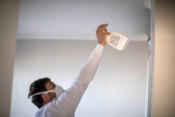 Best Crawl Space Mold Removal  in Fort Lee, NJ