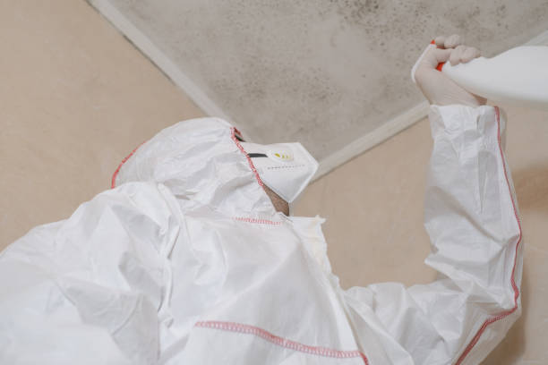 Best Mold Removal Near Me  in Fort Lee, NJ