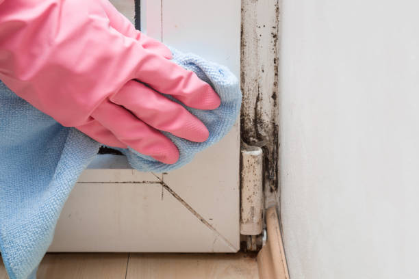 Best Mold Testing  in Fort Lee, NJ